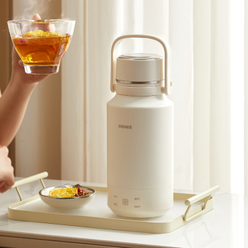 OIDIRE 2025 Electric Kettle 1 Liter