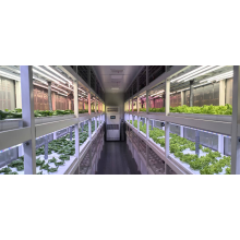 Стандартный тип для выращивания листовых овощей YD40JBY-B01-TK