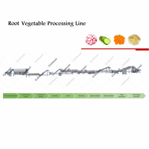 Ligne de lavage et de coupe de légumes racines