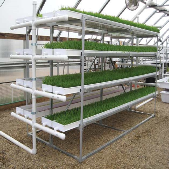 Hydroponic Fodder ProFeed Growing System