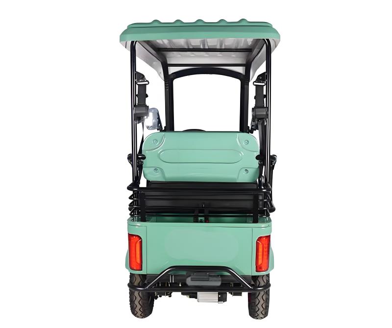 Scenic area electric sightseeing tricycle