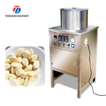 TS-T100 Industrial Stainless Steel Garlic Peeler/Skinning Machine