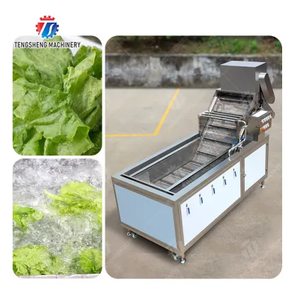 industrial fruit and vegetable washing machine