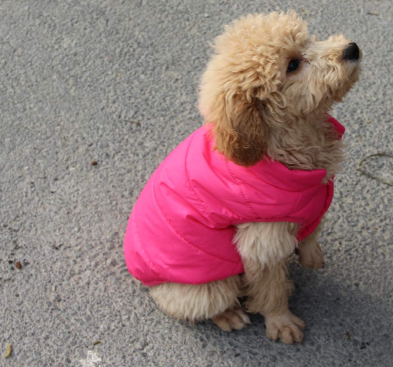 2 Layers Fleece Lined Warm Dog Jacket