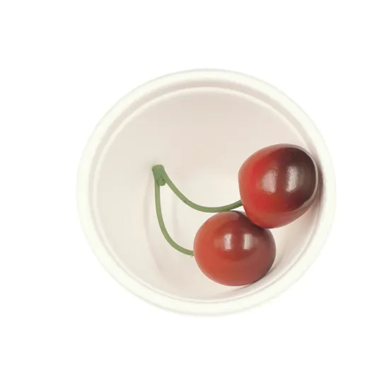 4OZ disposable sugar cane biodegradable cups and lids