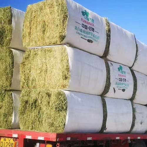 Full Auto Alfalfa Grass Bagging Machine