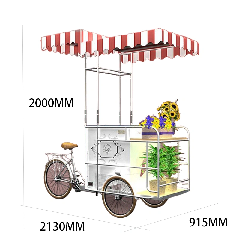 Commercial ice cream cart freezer bicycle cart selling China Manufacturer