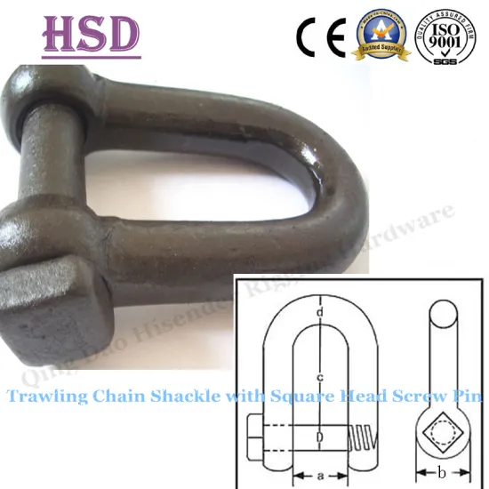 Trawling Shackle, Square Head, European Type, Us Type, Anchor Type