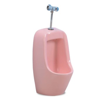 Color-Ceramic Wall-Mounted Toilet for Kindergarten Bathroom