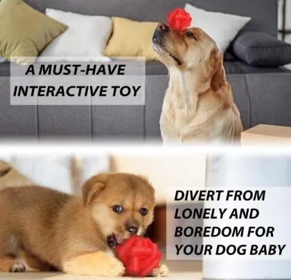 Dog Balls For Outdoors Training Fetch Game