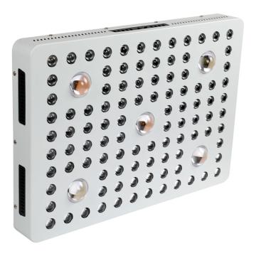 Cob LED Ticari Yetiştirme için Grow Işıkları