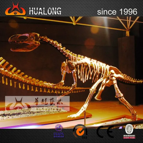 museum high simulaiton dinosaur fossil