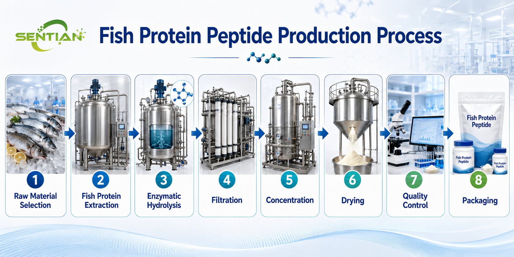 Fish Protein Peptide（1）