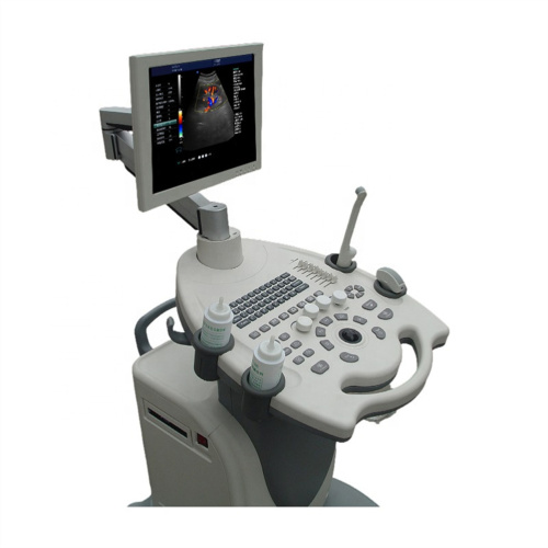 Trolley Full Digital Ultrasound Scanner Trolley Ultrasound Machine Color Doppler Scanner Factory