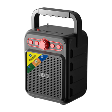 Professional Rechargeable FM HIFI Speaker: Outdoor Wireless Bluetooth Mini Speaker