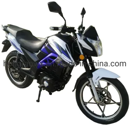 Adult Gas Motorcycles and Moto Scooters