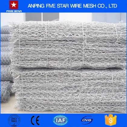 Alibaba China 2x1x1 Gabions Terramesh Mesh Sale Price