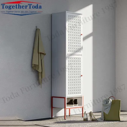Modern Double layer rack storage shoe cabinet