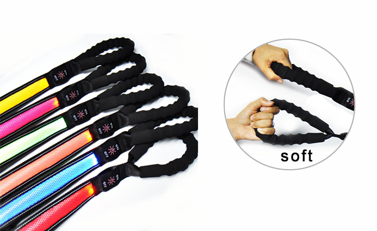 Illuminated Dog Leash