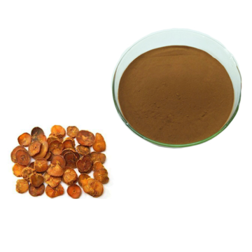 Natural Corydalis Extract Tetrahydropalmatine