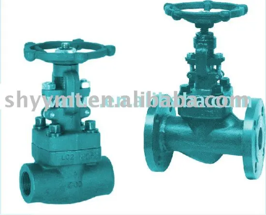 Forged gate valve API , Mannual gate valve.