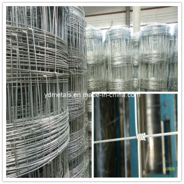Grassland Fence Yd-Fn-004