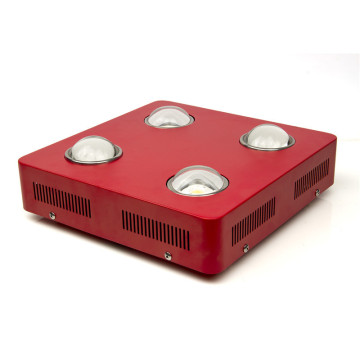 CITIZEN COB led bitki ışık büyümek için gerçek güç 240 w 3500 k CE ROHS kapalı bitkiler için VEG ve Bloom