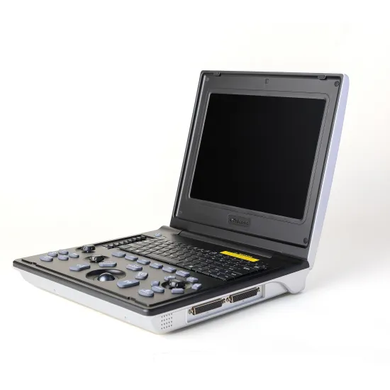 Portable ultrasound for specialist application