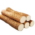 Chinese Yam Extract Powder Rich in Diosgenin