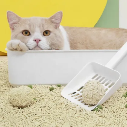 Wholesale Options for Cat Litter Products: Deodorant Beads, Sand, Powder, and Tidy Cats Breeze Systems