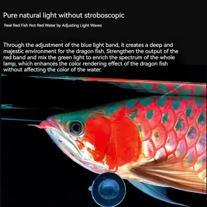 Mayin Brand IP68 Arowana Tanning LED Aquarium Light: 6700K UV Magic Light for Dragon Fish Tanks