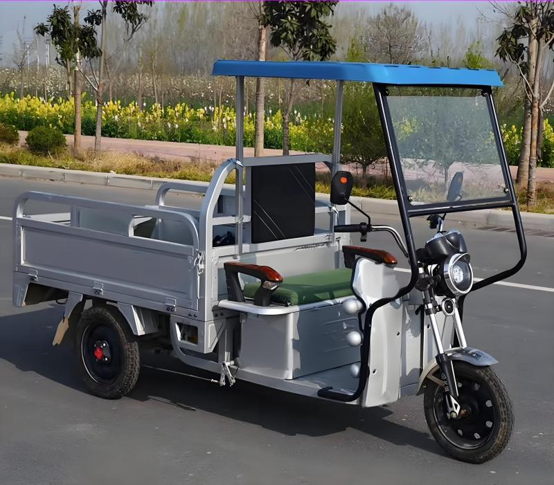 Sunshade canopy cargo tricycle