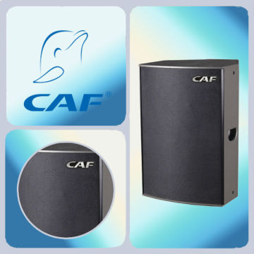 TT-3 professional church speaker