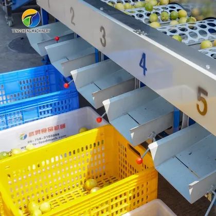 Passion Fruit Washing Air Drying Selecting Machine for Farms