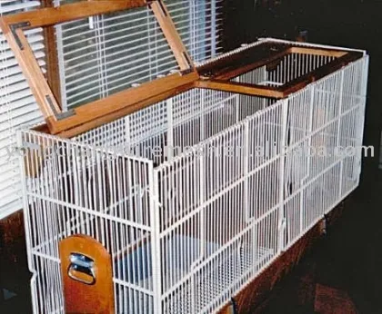pigeon cage
