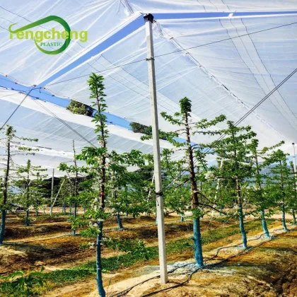 Grape Rain Covers Table Grape Rain Protection Covers