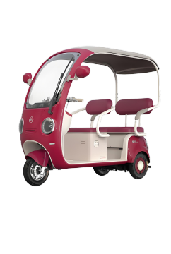 Household commuting Electric leisure tricycle with canopy