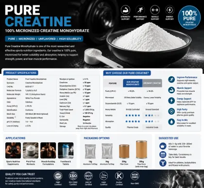 Creatine Monohydrate Powder for Sports Nutrition