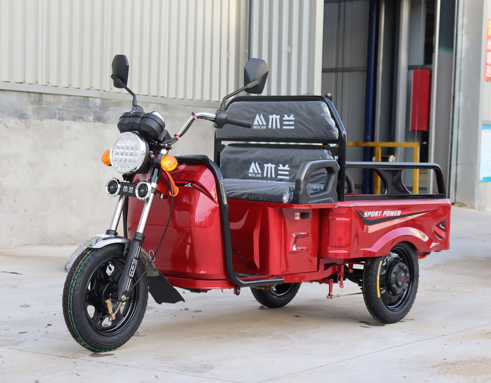 Manned Electric Tricycle