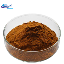 High Quality Natural Bacopa Monnieri Extract Powder