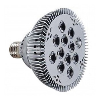 LED Spotlights