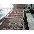 Veg Washing Machine Conveyor Belt Fruit and Vegetable Cleaner Machine Factory