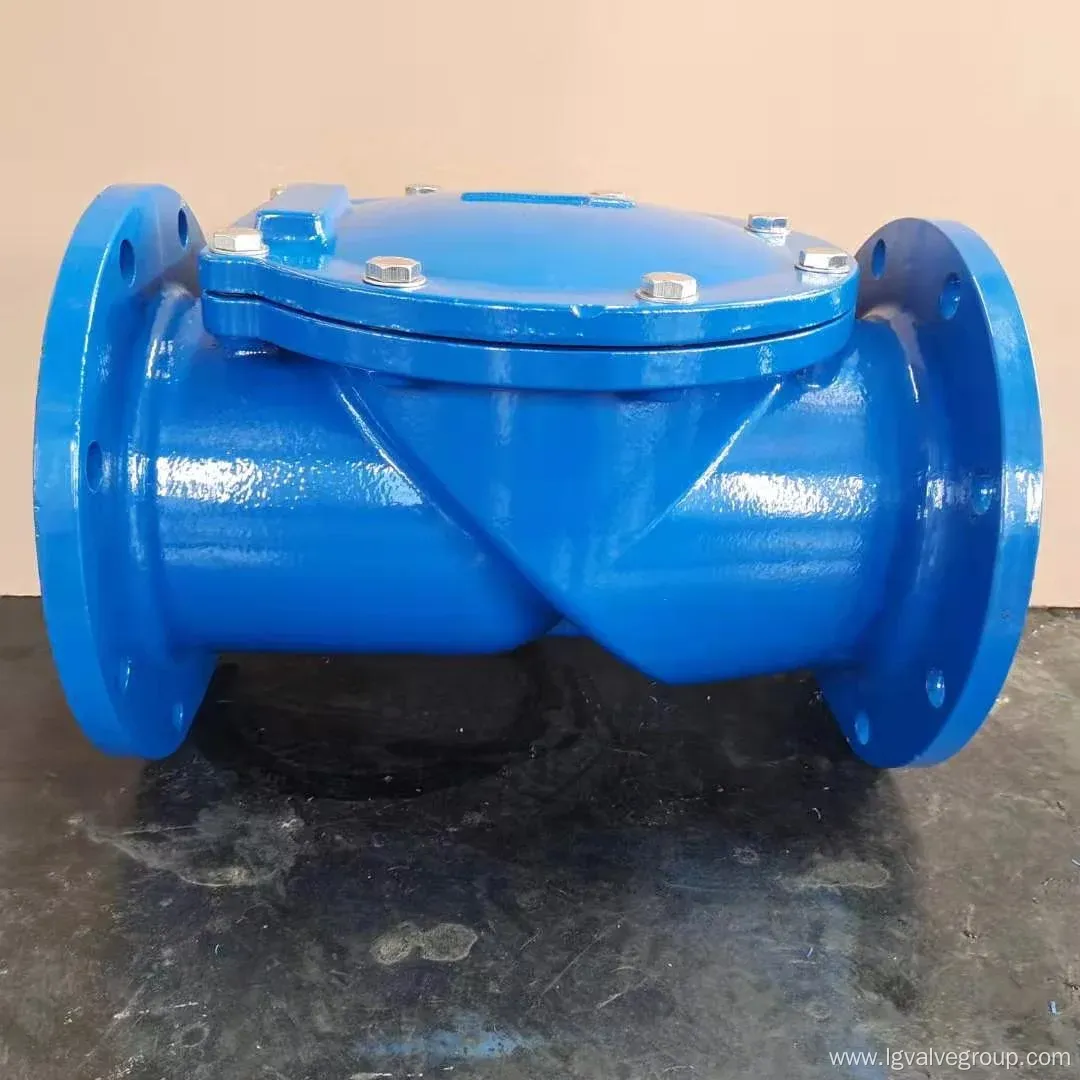 Standard Non Return Control Valve for EU Market