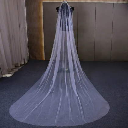 Bride Main Wedding Veil Super Fairy Korean Style Long Tail Embroidery Bridal Veil