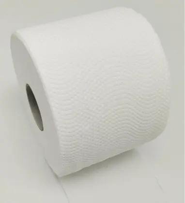 Soft Toilet paper individual wrapped