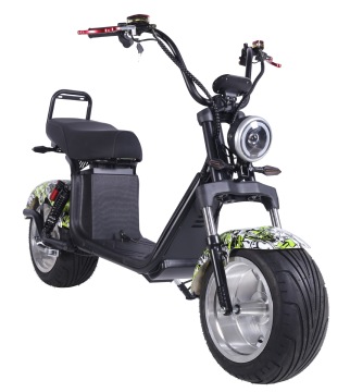 Smart Stylish Storage Electric Bicycle Lithium Battery