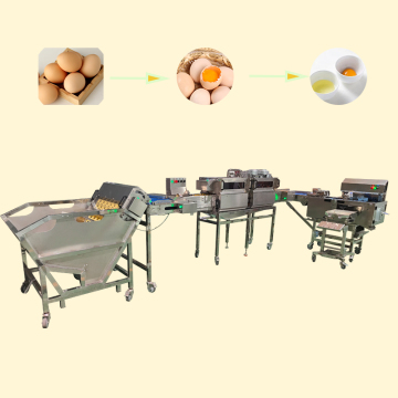 Best Price High Quality Industrial Egg White and Yolk Separator Processing Machine