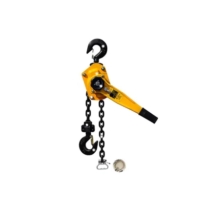 High Quality Manual Chain Pulley Hoists: 0.75T to 9T Capacity