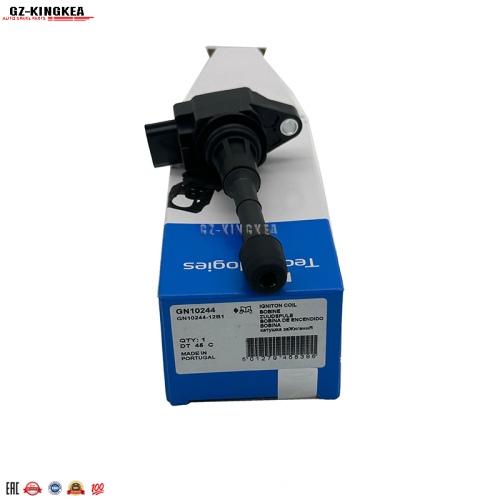 China Factory Ignition Coil GN10244 for Nissan 2002-2006 Pathfinder