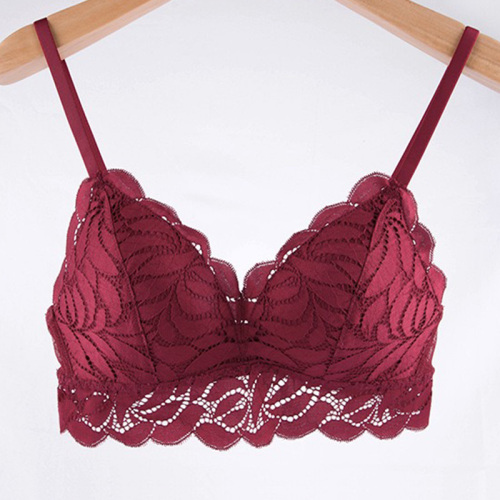 set di mutandine reggiseno imbottito in pizzo floreale senza filo